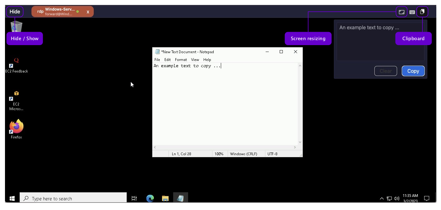 ../../../_images/webclient_clipboard.png