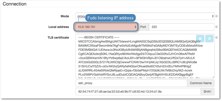 ../../_images/putty_listener_ip.png